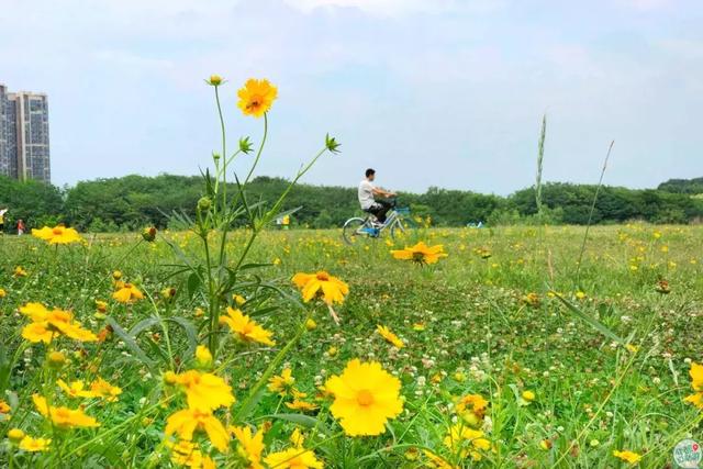 成都墨石公园攻略(不要门票免费耍)(6)