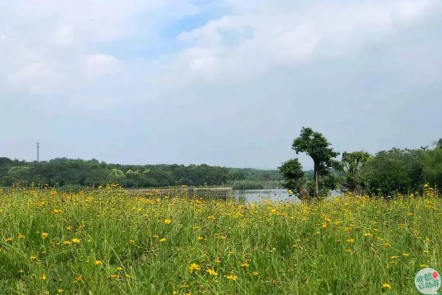 成都墨石公园攻略(不要门票免费耍)(4)