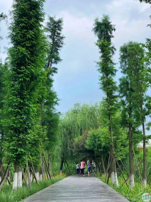 成都墨石公园攻略(不要门票免费耍)(25)