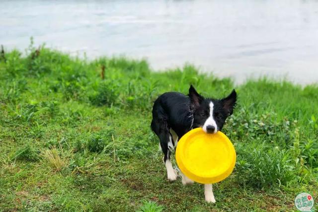 成都墨石公园攻略(不要门票免费耍)(28)