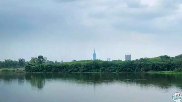 成都墨石公园攻略(不要门票免费耍)(31)
