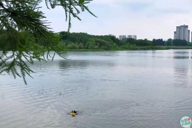 成都墨石公园攻略(不要门票免费耍)(26)