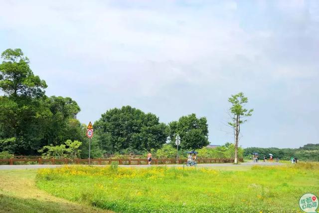 成都墨石公园攻略(不要门票免费耍)(5)