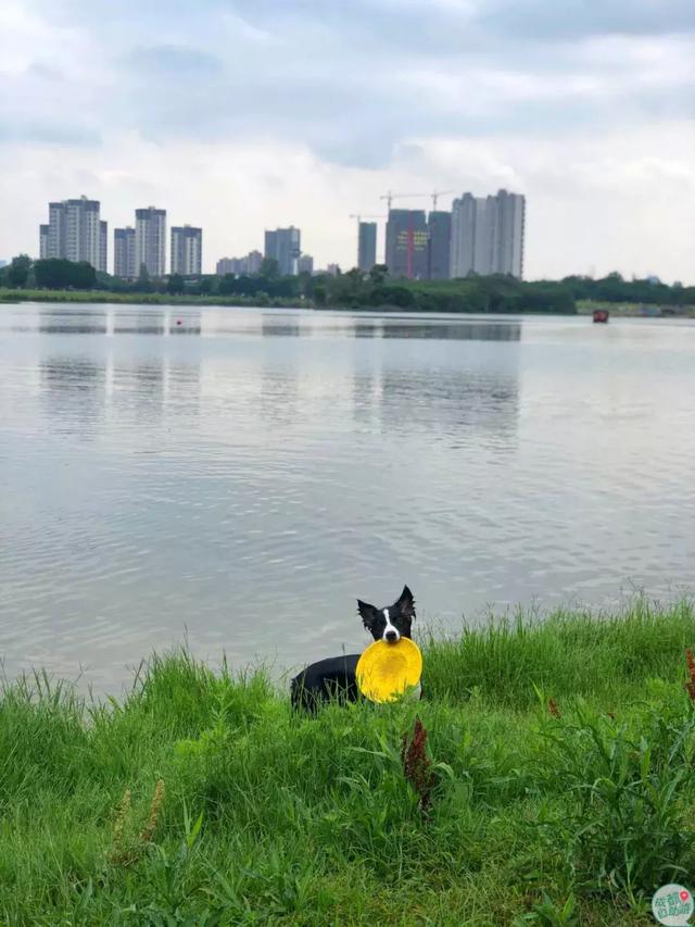 成都墨石公园攻略(不要门票免费耍)(27)