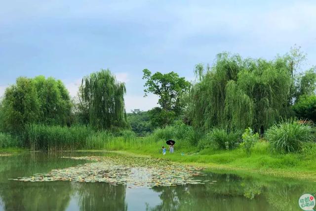 成都墨石公园攻略(不要门票免费耍)(1)