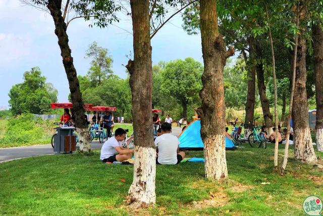 成都墨石公园攻略(不要门票免费耍)(14)