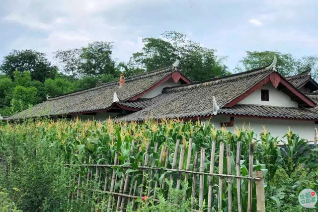 成都墨石公园攻略(不要门票免费耍)(36)