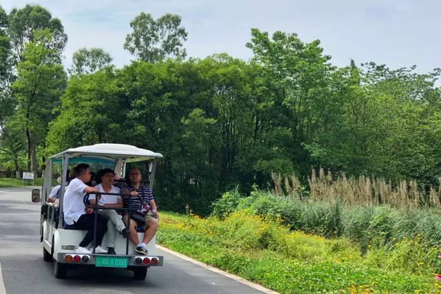 成都墨石公园攻略(不要门票免费耍)(23)