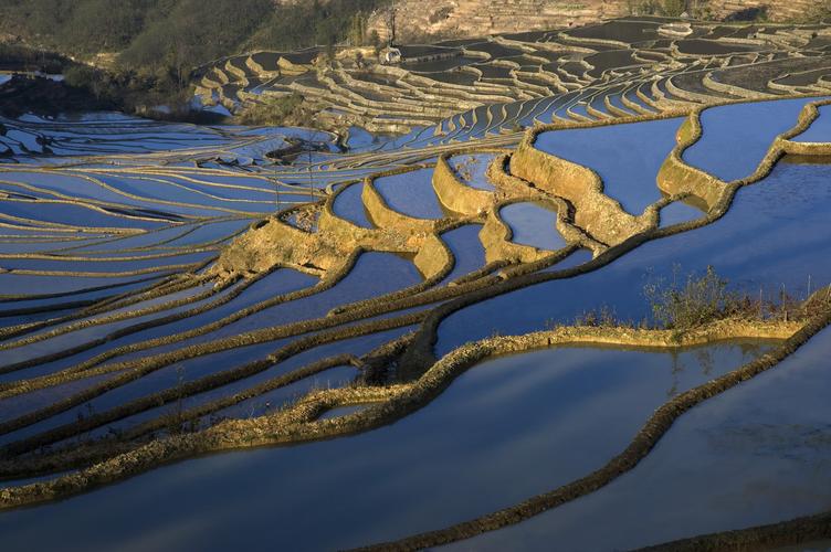 云南元阳哈尼梯田美景(你不知道的云南)