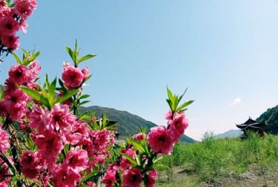 ​陌上花开什么意思，一个男人对你说陌上花开是什么意思？