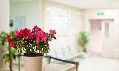 ​网上买的鲜花怎么醒,网购的花需要醒花吗