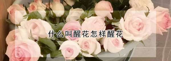 网上买的鲜花怎么醒,网购的花需要醒花吗图5