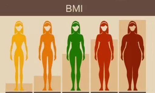bmi标准,男生bmi标准计算公式图2