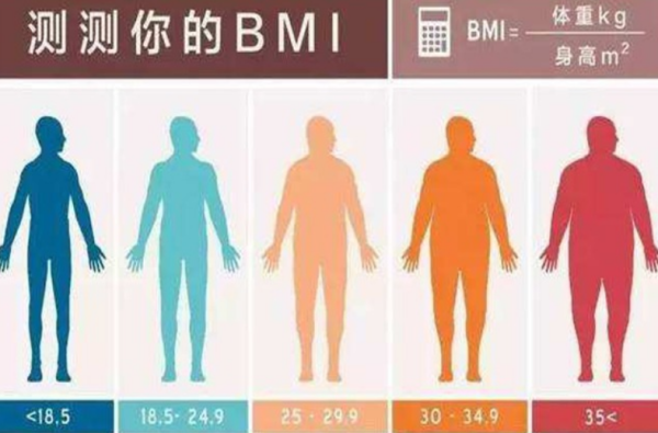bmi标准,男生bmi标准计算公式图3