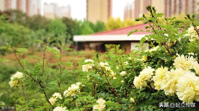 高考报志愿的三本（高考填志愿注意）(1)