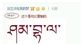 香格里拉姓扎史的是什么民族