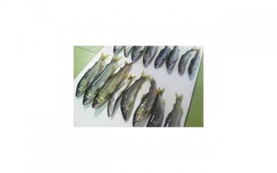 ​双鱼座未来三大喜事 双鱼座喜上加喜