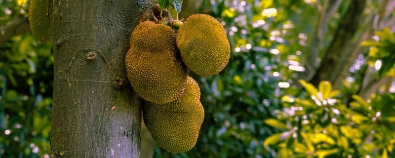 网络图片(侵删)