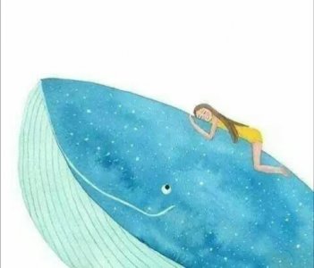 ​化身孤岛的蓝鲸 你知道在其他鲸鱼眼里 52赫兹是什么概念