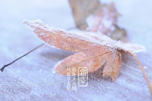 写霜降的诗有哪些?