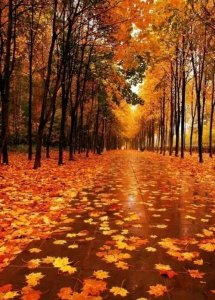 ​丈母娘去世老丈人住我家合适吗(女婿住老丈人家有什么问题)