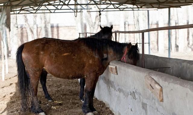 什么是吐槽，吐槽大会的吐槽是什么意思？图3