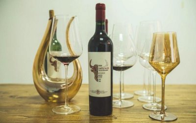 ​红酒餐酒推荐(红酒日常餐酒)