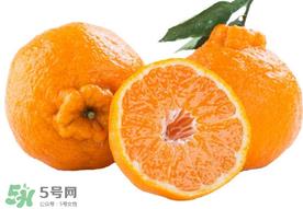 丑八怪水果孕妇能吃吗？孕妇能吃丑八怪水果吗？