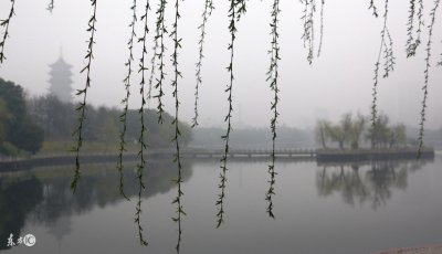 ​朱自清《细雨》（朱自清 散文精选语句）