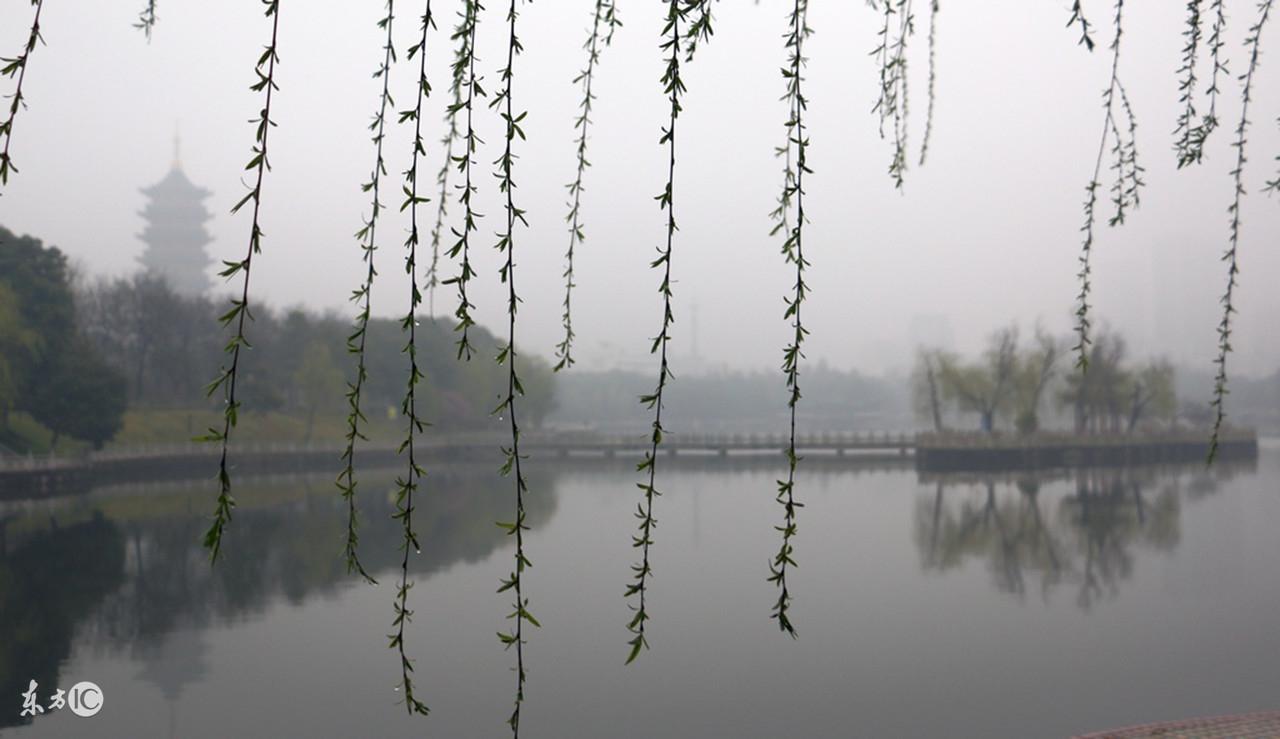 朱自清《细雨》（朱自清 散文精选语句）