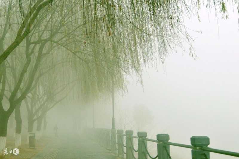 朱自清《细雨》（朱自清 散文精选语句）
