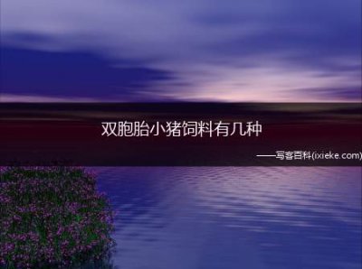 ​双胞胎小猪饲料有几种 (双胞胎的猪饲料)