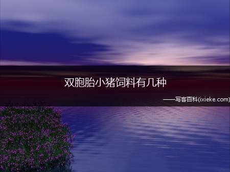 双胞胎小猪饲料有几种 (双胞胎的猪饲料)
