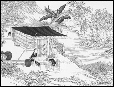 ​民间趣闻轶事小合集，让你大开眼界