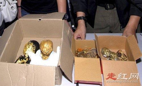 泰国2010年婴尸灵异事件是真的吗 是怎么被发现的