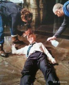 马尔福喜欢谁 罗琳并没有写他喜欢的是谁