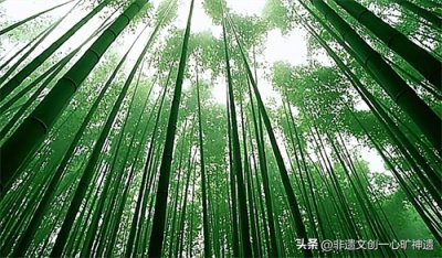 ​为什么要支持非遗文创(四)竹丝扣瓷工艺,印证什么叫细致入微