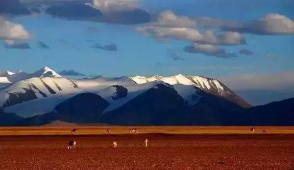 驴友刘银川穿越羌塘无人区, 已失联85天!！