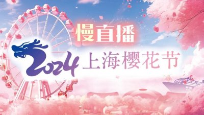 ​云赏樱！宝山融媒邀您一起观看顾村公园樱花浪漫