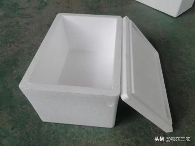 ​自制泡沫盒孵化箱 年年都是这样做，方法非常简单