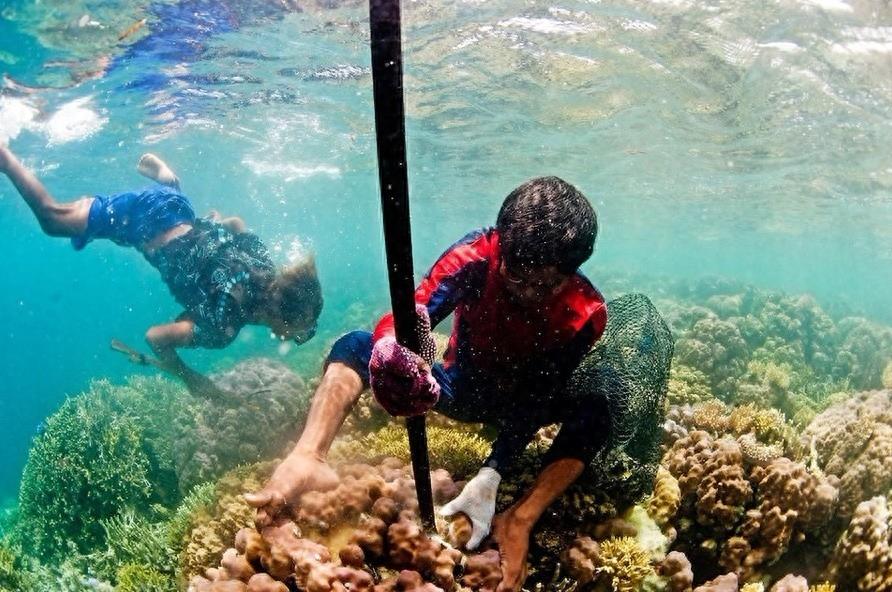 直击：从小学习潜水，为减小深海水压戳破耳膜的巴瑶族人