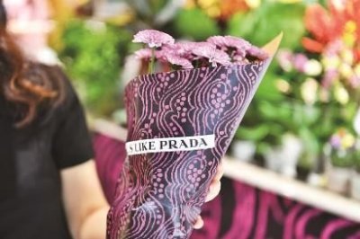 ​美人亭柔和42度多少钱一瓶啊？美人酒价格表