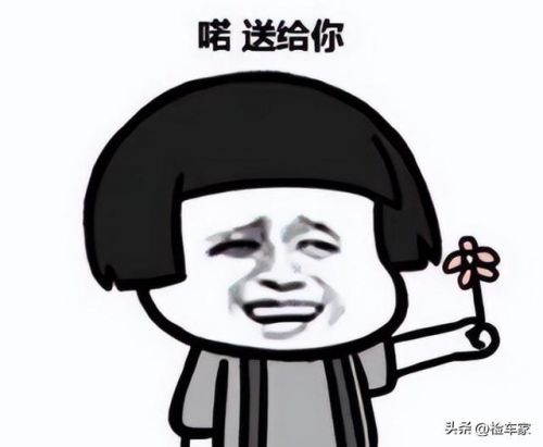 斯巴鲁翼豹二手车价格(斯巴鲁翼豹多少钱)-第2张图片-