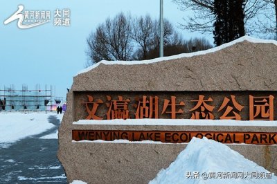 ​今年新春何处去？文瀛湖边赏冰雕