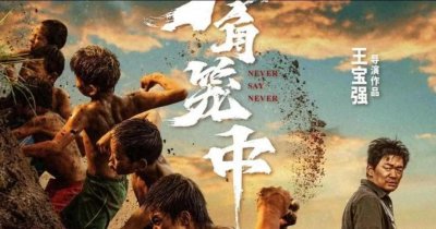 ​王宝强没有黑粉的原因找到了，网友直呼:唯一一个不会塌房的明星