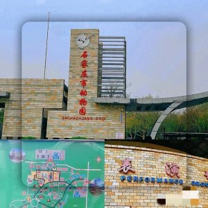 ​5份不同的石家庄动物园游玩攻略，网友:我关心的问题都说到了