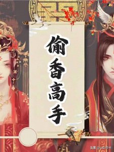 ​推荐一本非常适合老司机看的后宫文曹贼小说《偷香高手》