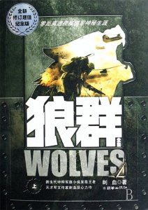 ​这十本超好看的军文小说，只有狼群让你热血沸腾？锦书小说