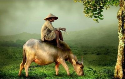 ​三本特别赞的个人修仙种田文小说