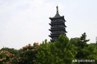 ​金庸所著武侠小说《射雕英雄传》中程瑶迦简介